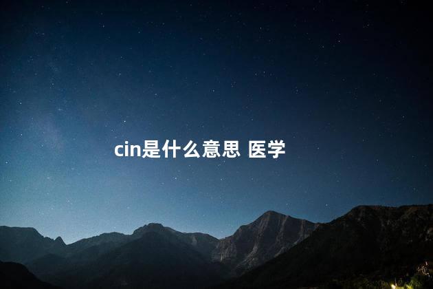 cin是什么意思 医学